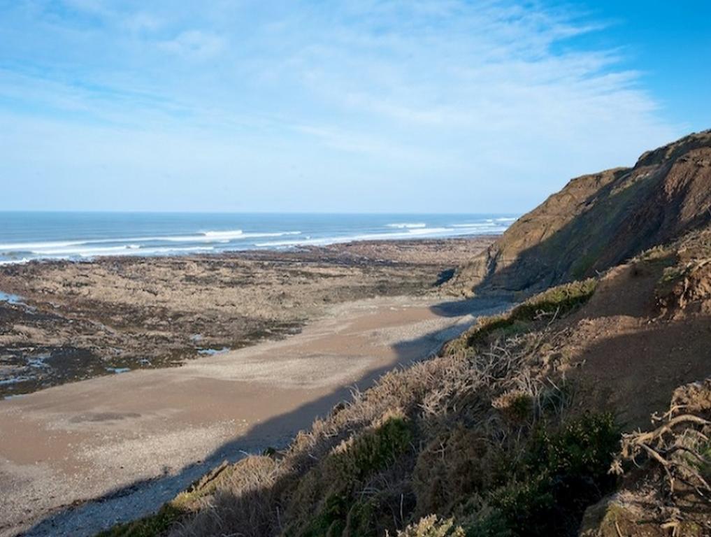 Penhalt Farm Apartment Bude Esterno foto